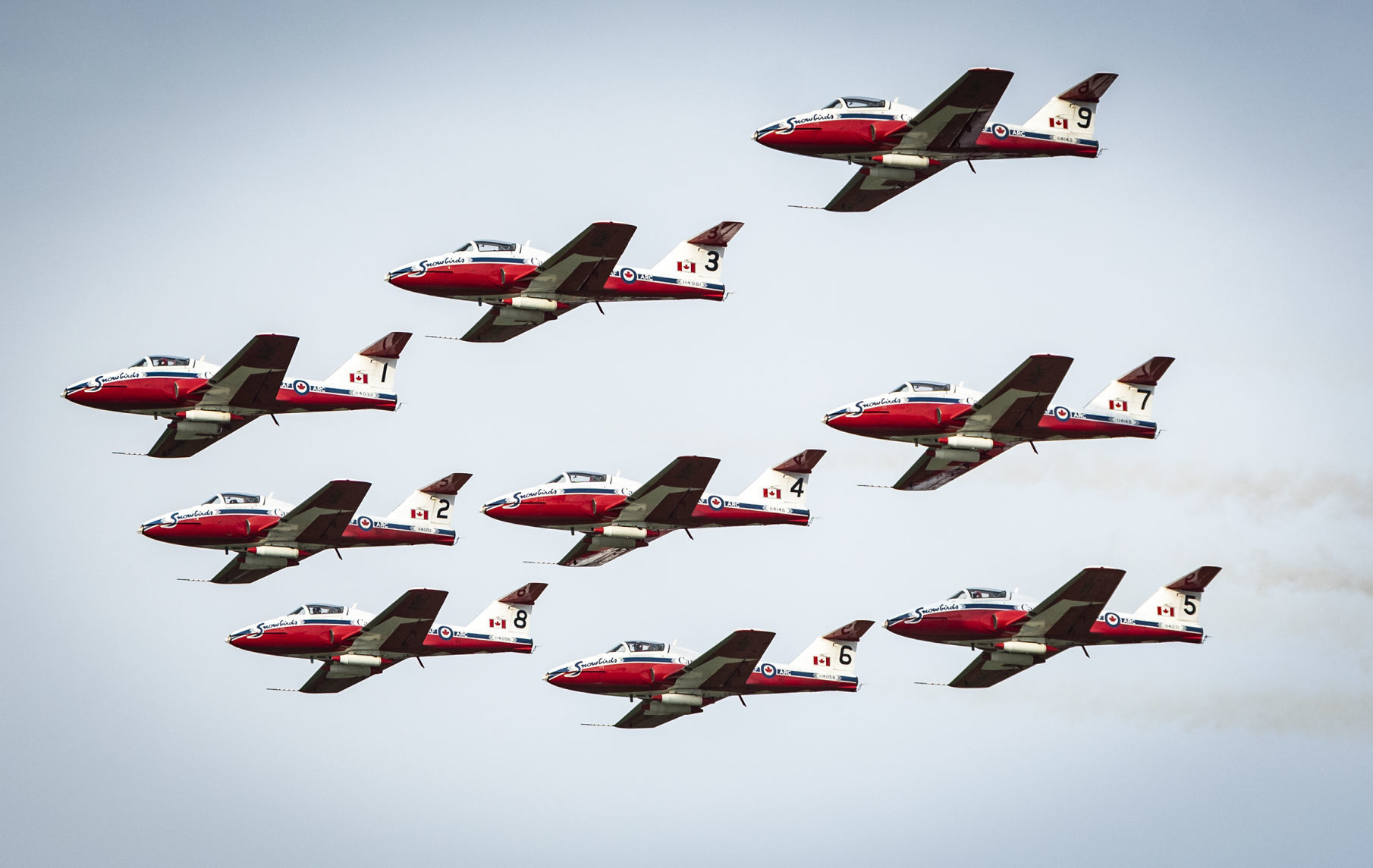 Snowbirds